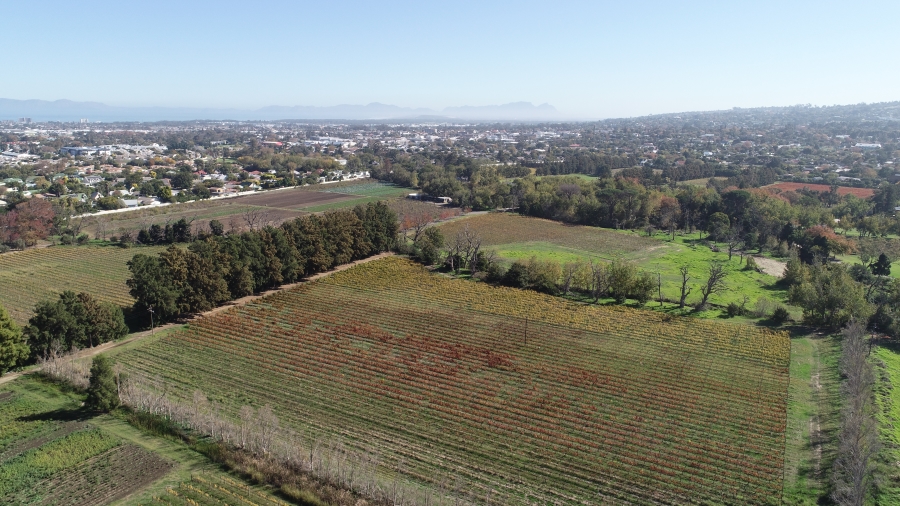 5 Bedroom Property for Sale in Stellenbosch Farms Western Cape